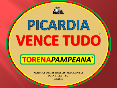 PICARDIA VENCE TUDO MÁQUINAS TORENA PAMPEANA EM IPIRANGA DO NORTE MT